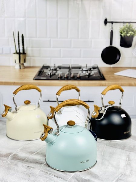 إبريق شاي ستانلس 1.7L مع يد وتسكيرة خشب بعدة ألوان