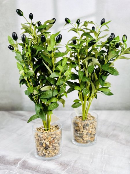 قوار زيتون شفاف 45CM