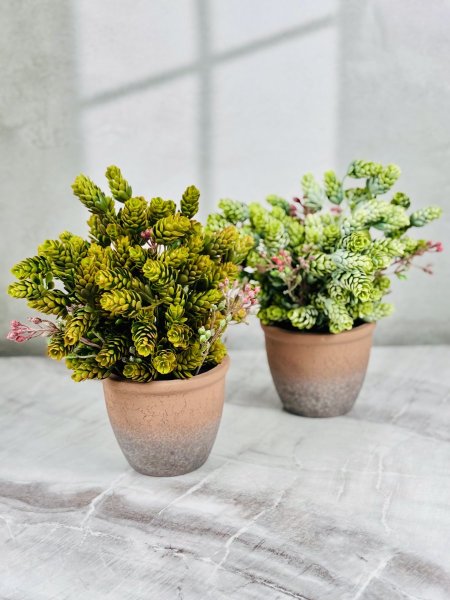 قوار ورد فخار بورسلان عشب اخضر كبير