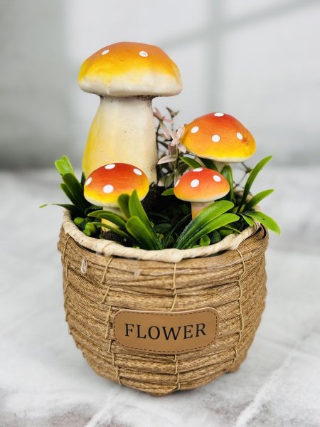 قوار قش دائري شكل فطر