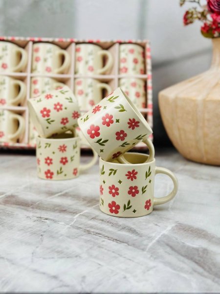 طقم مجات سيراميك مورد 12 قطعة